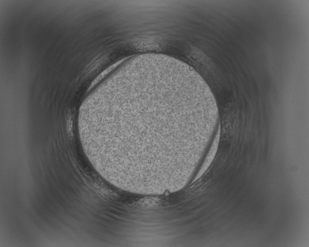 X0000060280124200511241532