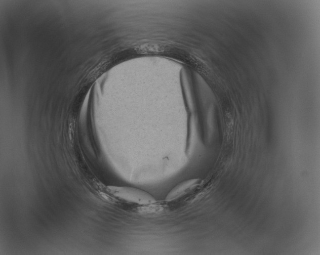 X0000060280125200511241532