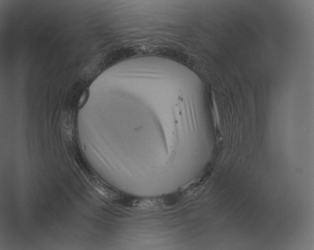 X0000060280129200511241532