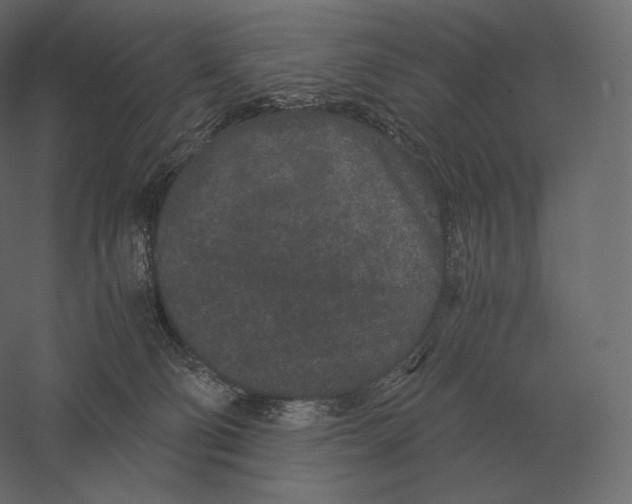 X0000060280130200511241532