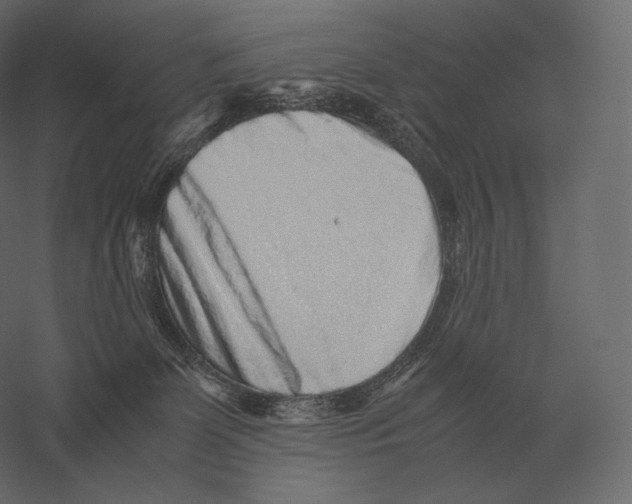 X0000060280131200511241531