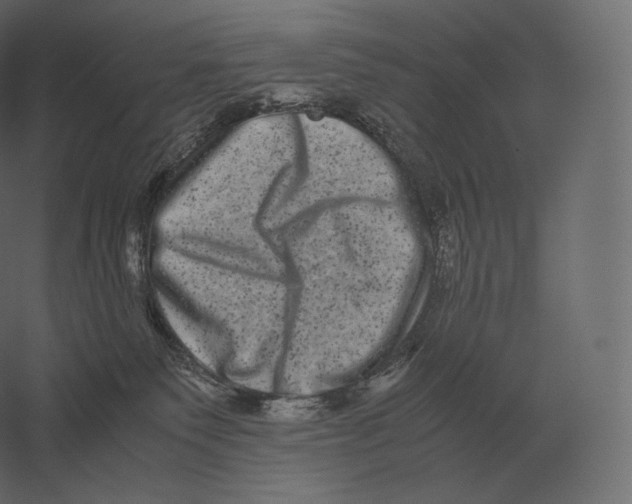 X0000060280135200511241531