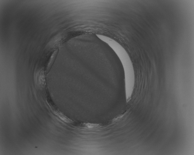 X0000060280137200511241531