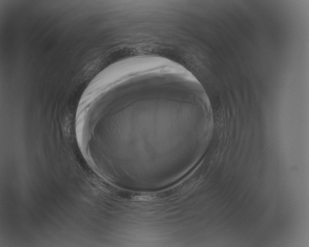 X0000060280139200511241531