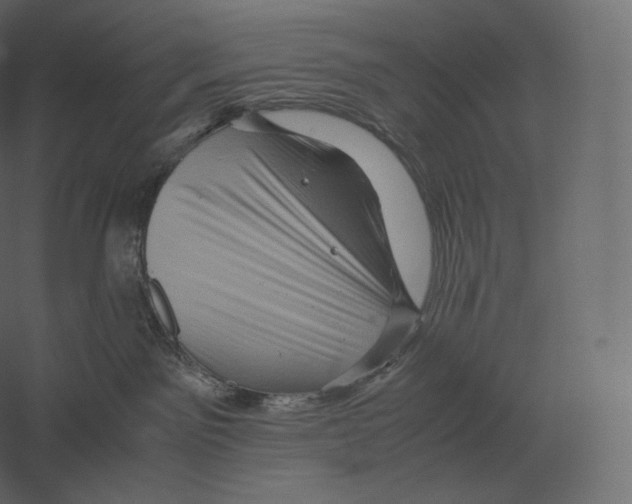 X0000060280141200511241531