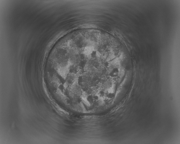 X0000060280145200511241530