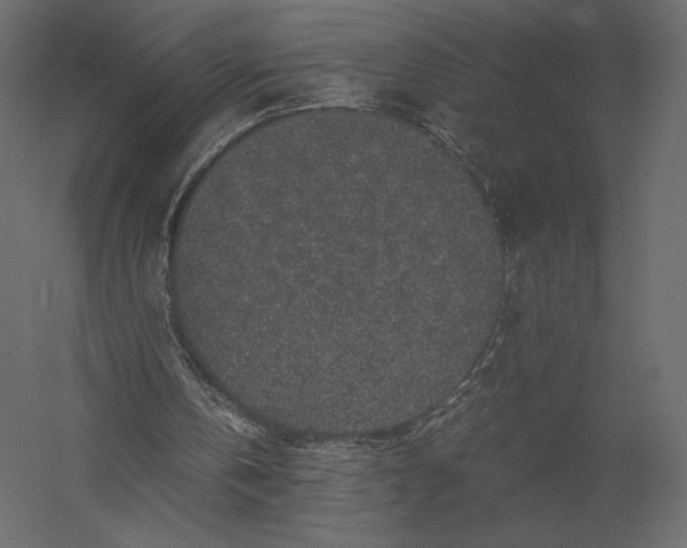 X0000060280146200511241530