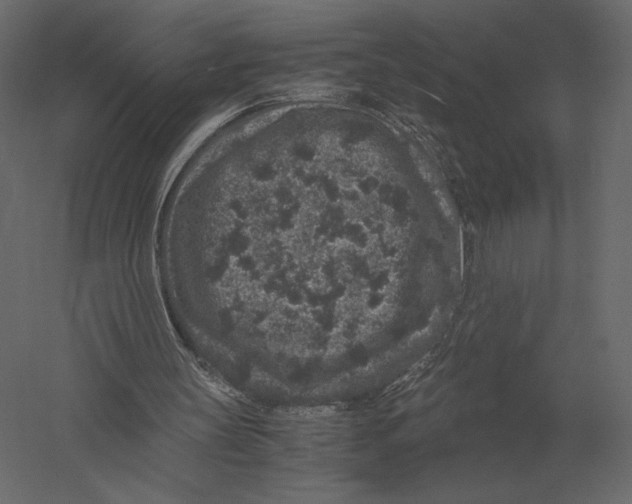X0000060280147200511241530