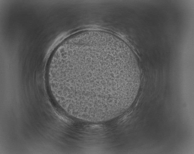 X0000060280151200511241531
