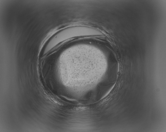 X0000060280152200511241531