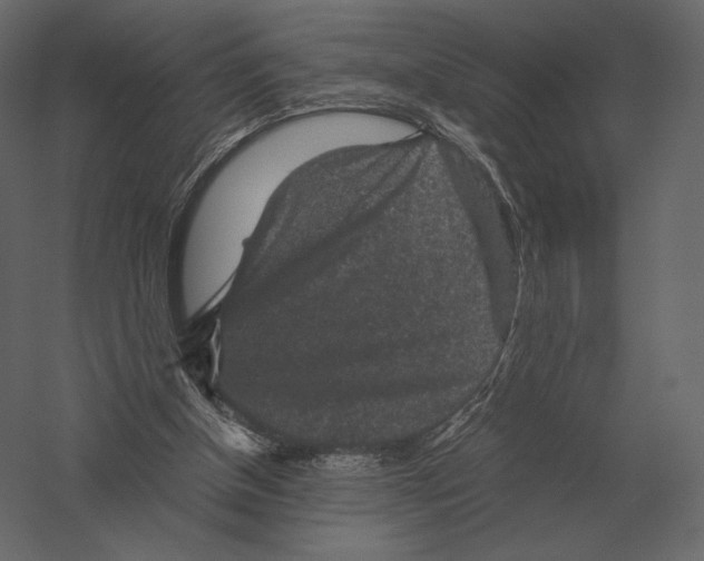 X0000060280154200511241531