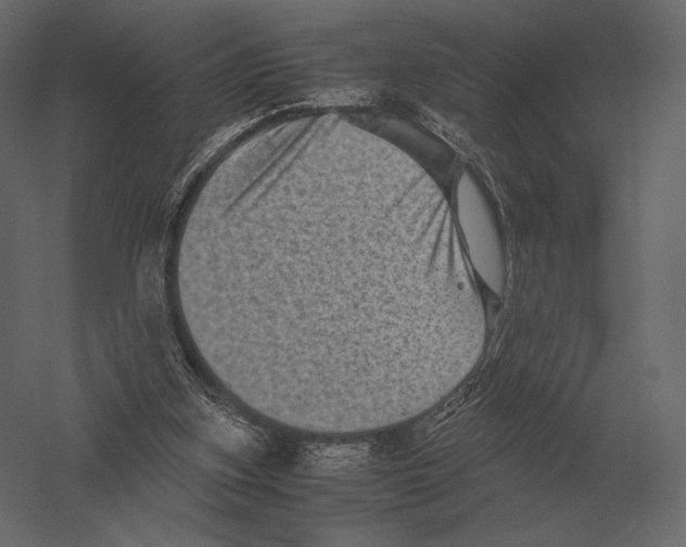 X0000060280155200511241531