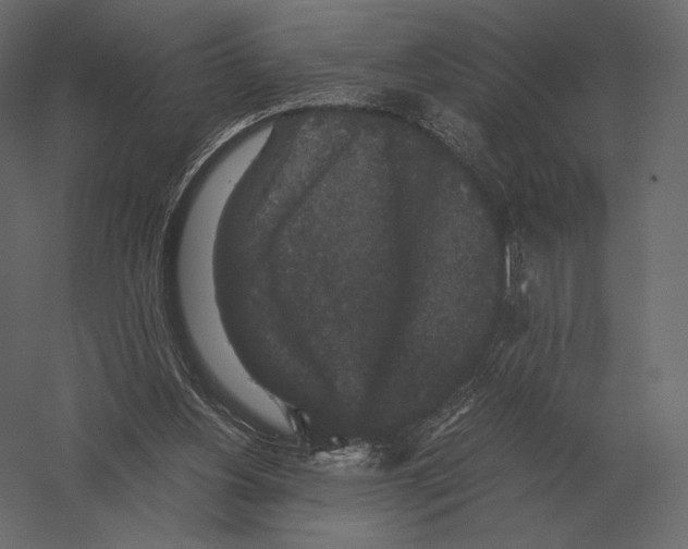 X0000060280156200511241531