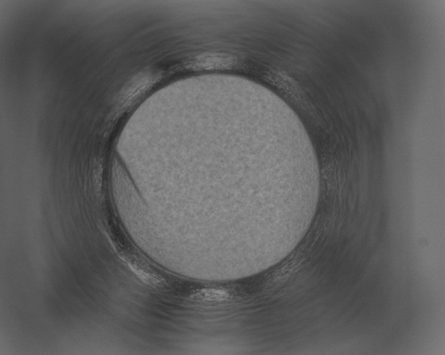 X0000060280159200511241531