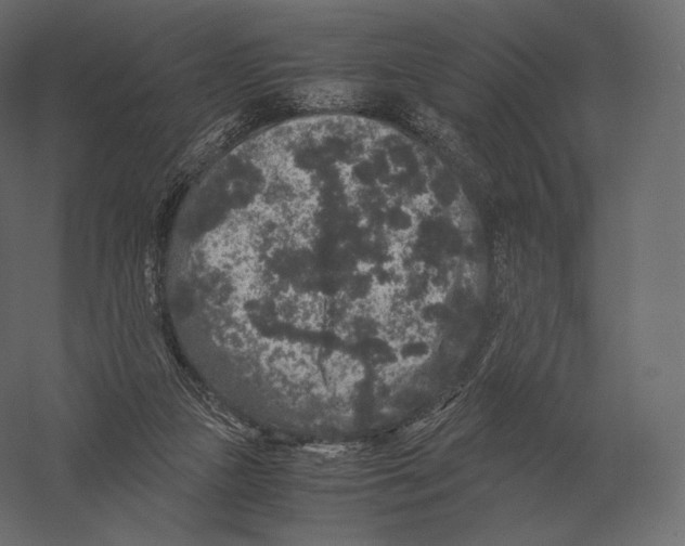 X0000060280161200511241531