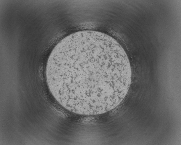 X0000060280162200511241531