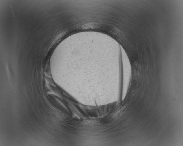 X0000060280164200511241531