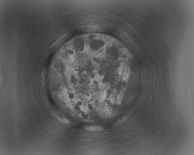 X0000060280165200511241531