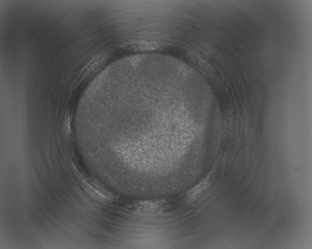 X0000060280166200511241531