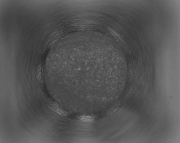 X0000060280169200511241531