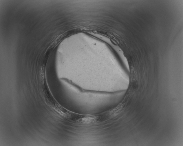 X0000060280172200511241531