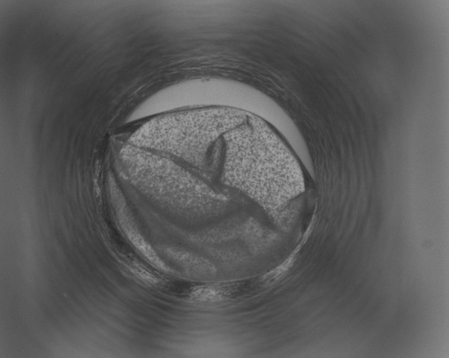 X0000060280174200511241531