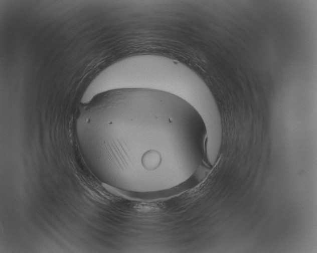 X0000060280175200511241531