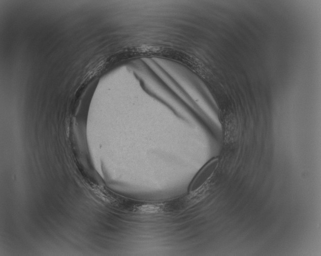 X0000060280176200511241531