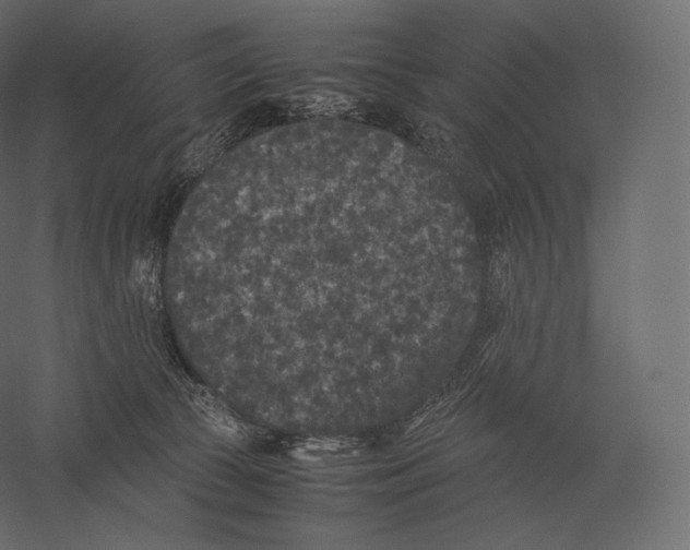 X0000060280177200511241531