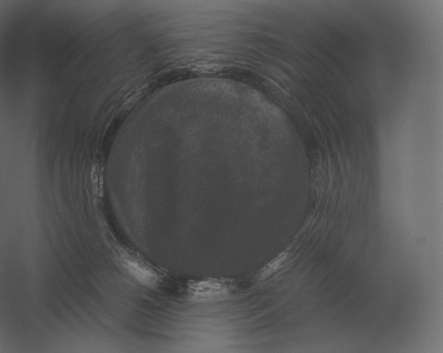 X0000060280180200511241531
