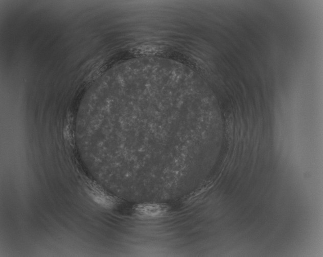 X0000060280181200511241531