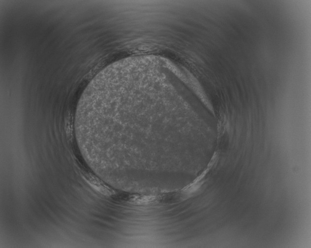 X0000060280186200511241531