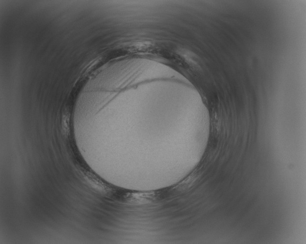 X0000060280188200511241531