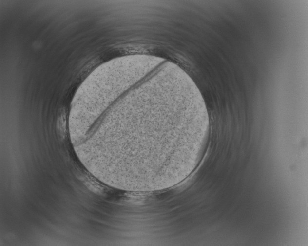 X0000060280190200511241531