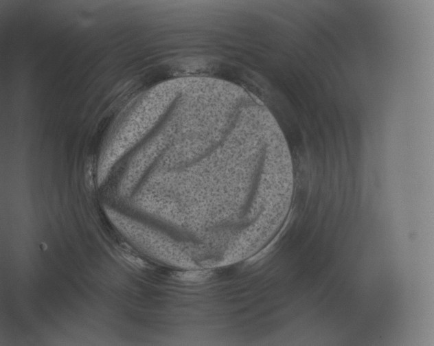 X0000060280191200511241531
