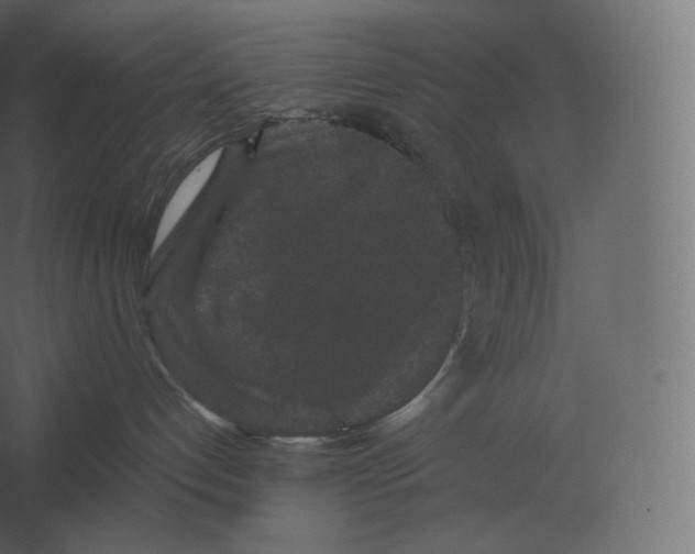 X0000060280192200511241531
