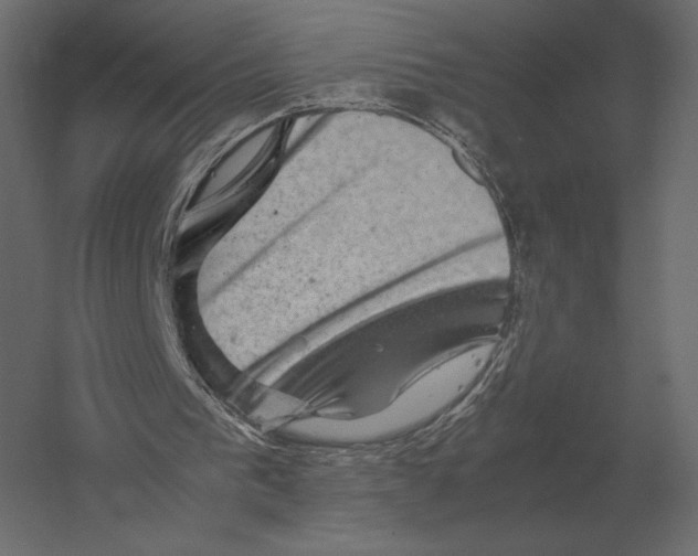 X0000060280193200511241530