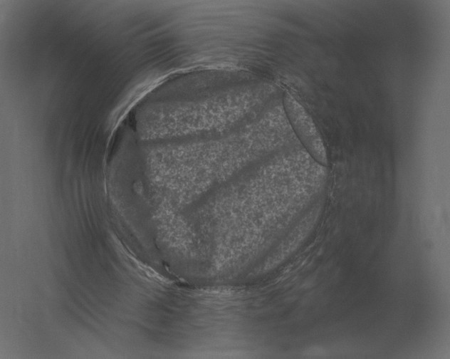 X0000060280194200511241530