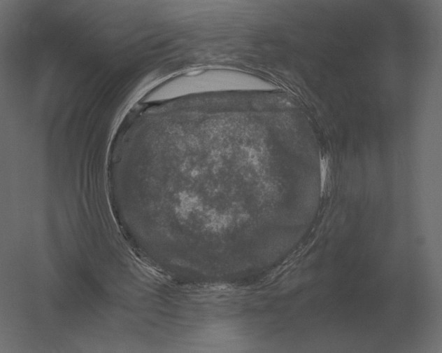 X0000060280195200511241530