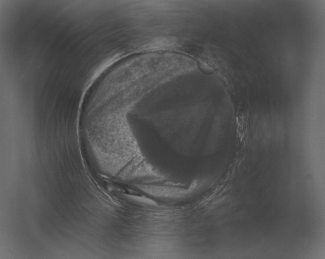 X0000060280196200511241530