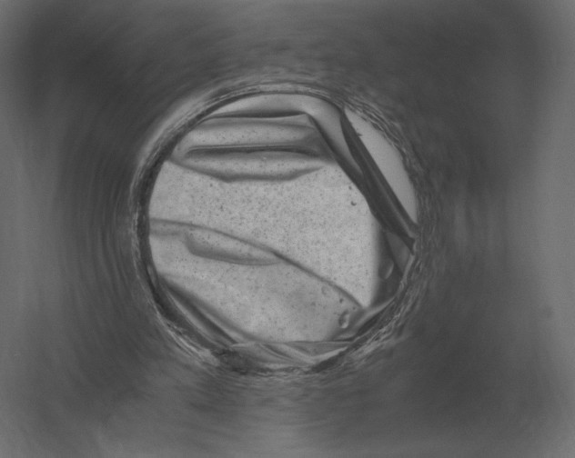 X0000060280197200511241530