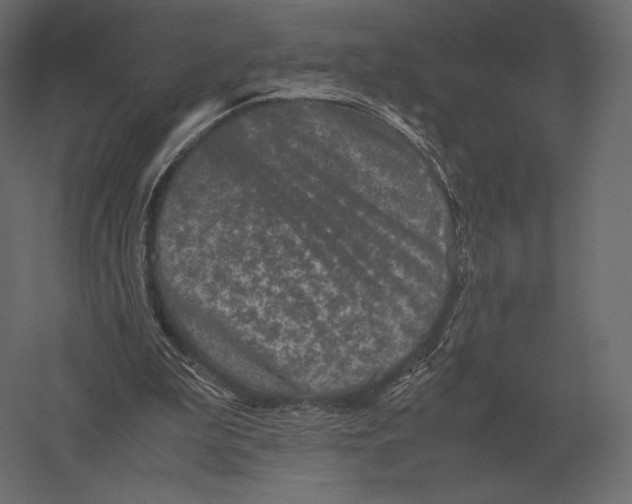 X0000060280199200511241530