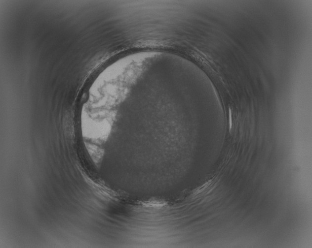X0000060280204200511241530