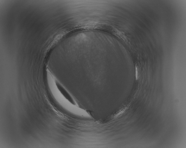 X0000060280205200511241530
