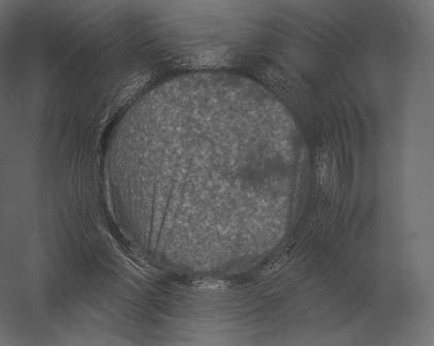 X0000060280206200511241530