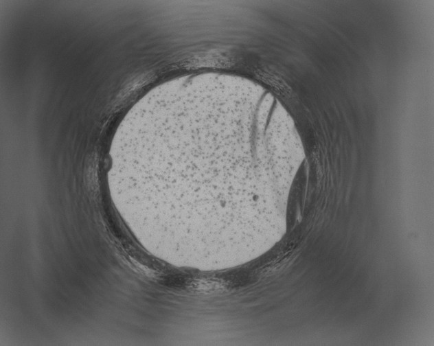 X0000060280207200511241530