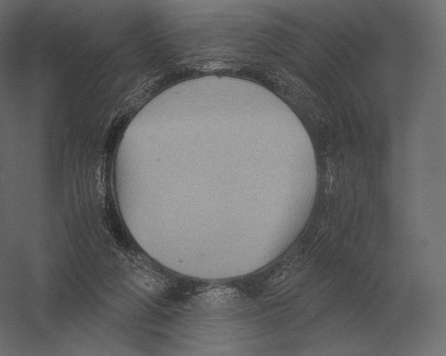 X0000060280210200511241530