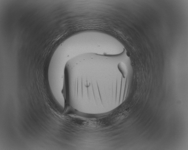 X0000060280211200511241530