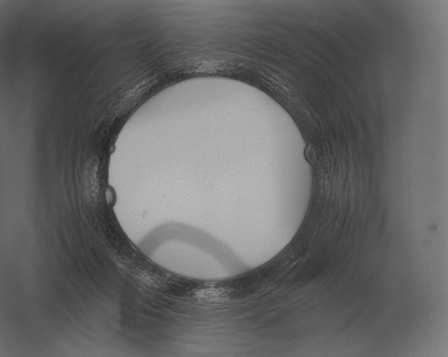 X0000060280216200511241530