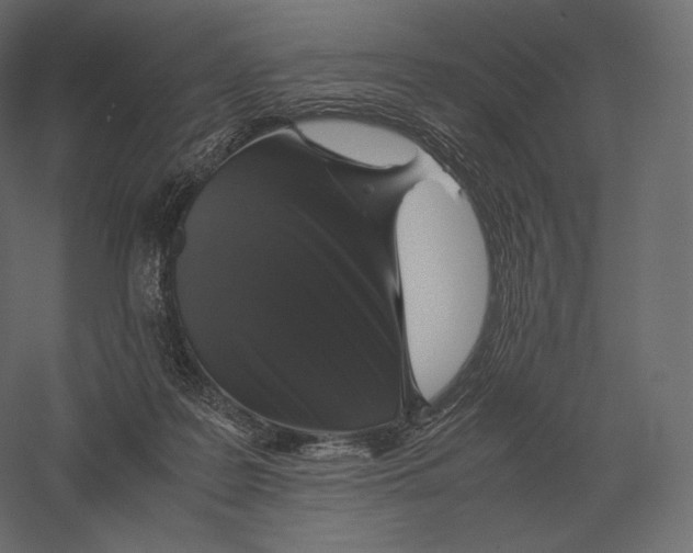 X0000060280219200511241530
